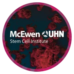 McEwen Stem Cell Institute profile image